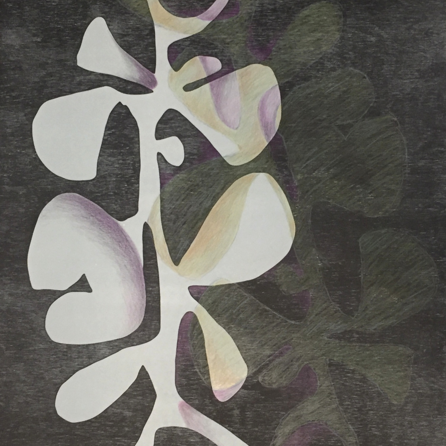 Bauhaus Botanical - Black/Lilac/Shadow: created by Monica Monaghan-Milstein for MonicaArts Design LLC